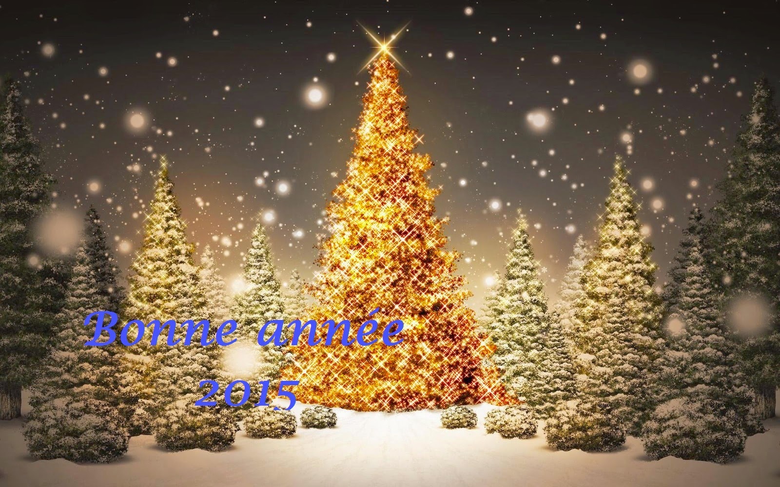 new year 2015 new year 2015